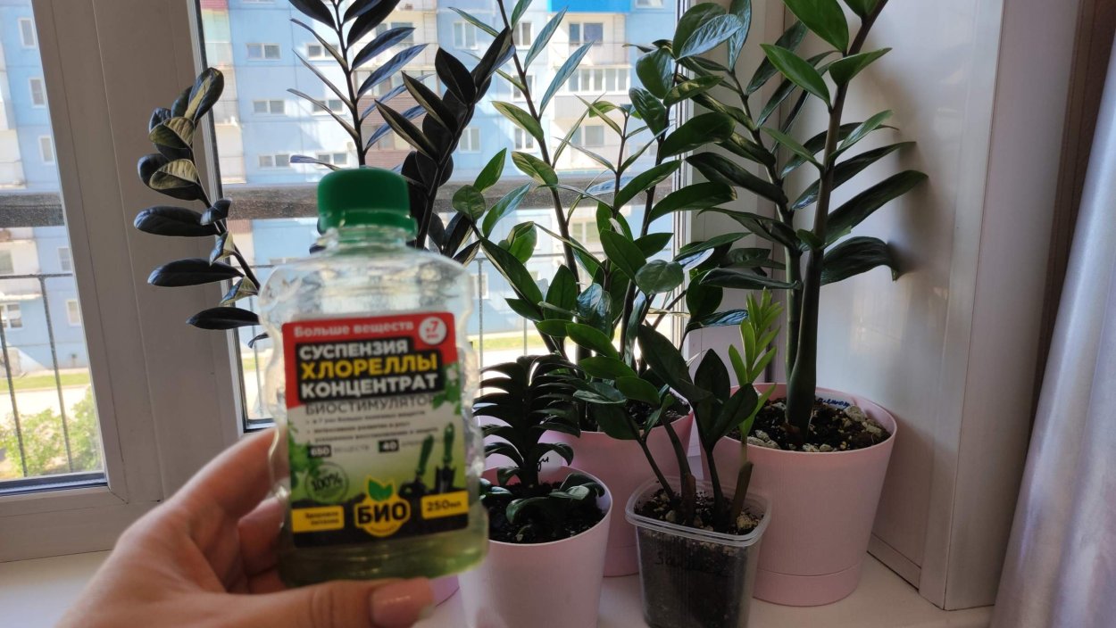 Биококтейль для замиокулькаса 500мл