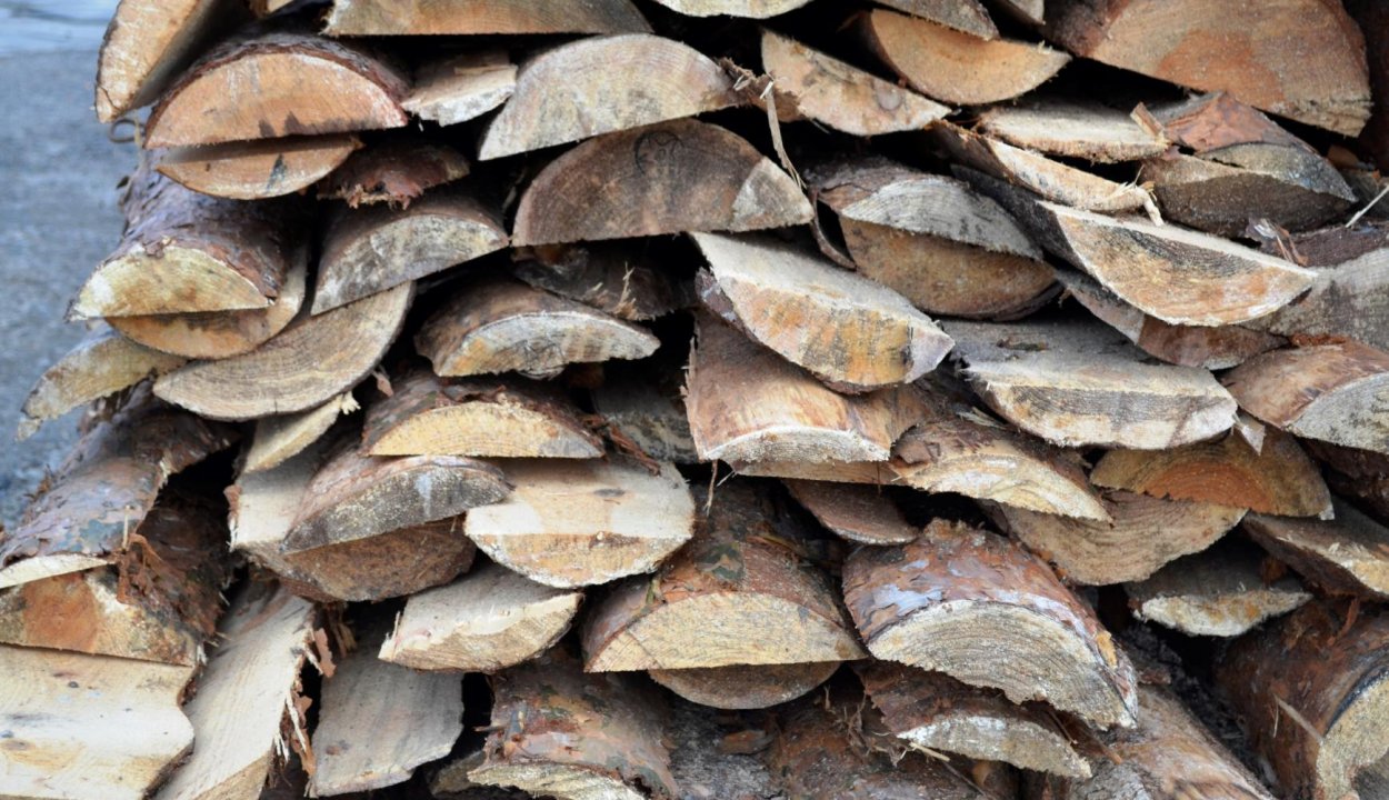 Темный горбыль