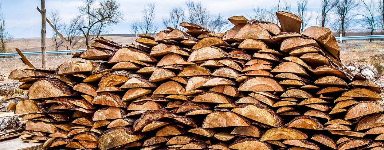 Горбыль лиственницы