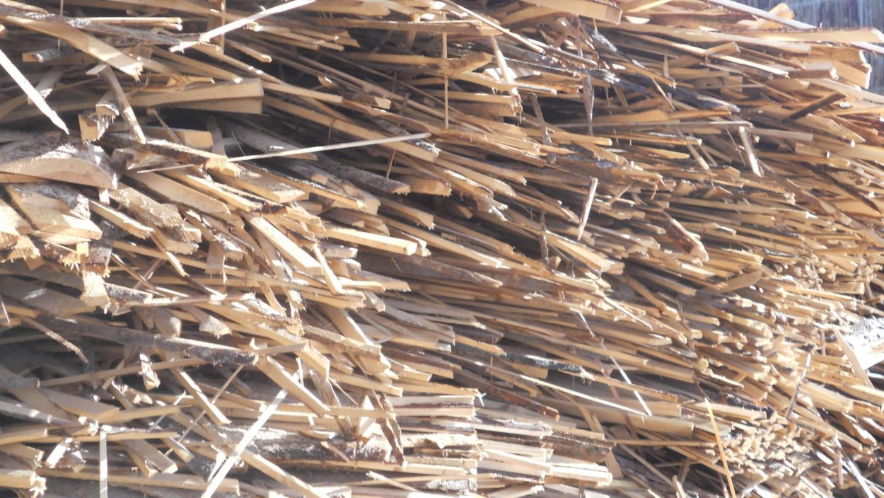 Срезка Хвойная