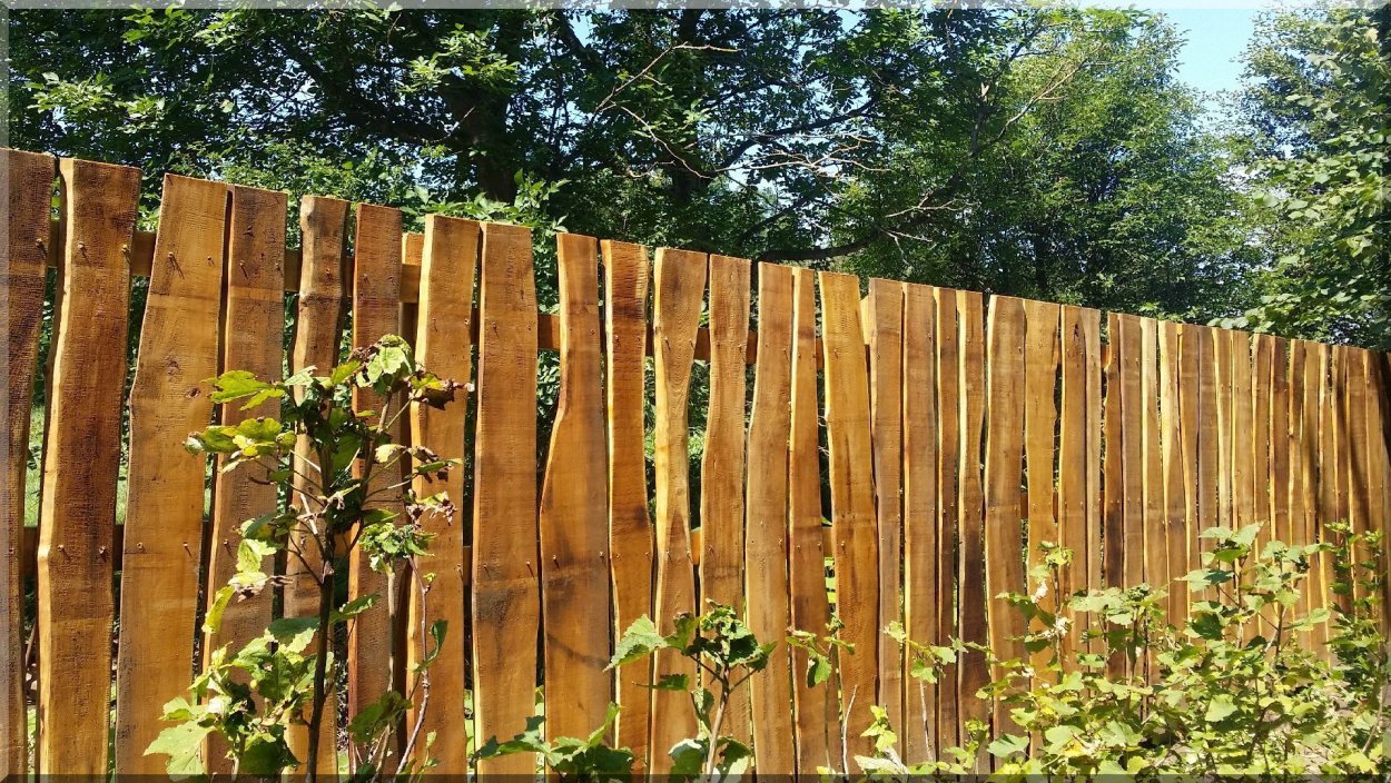 Деревянный забор из необрезной доски