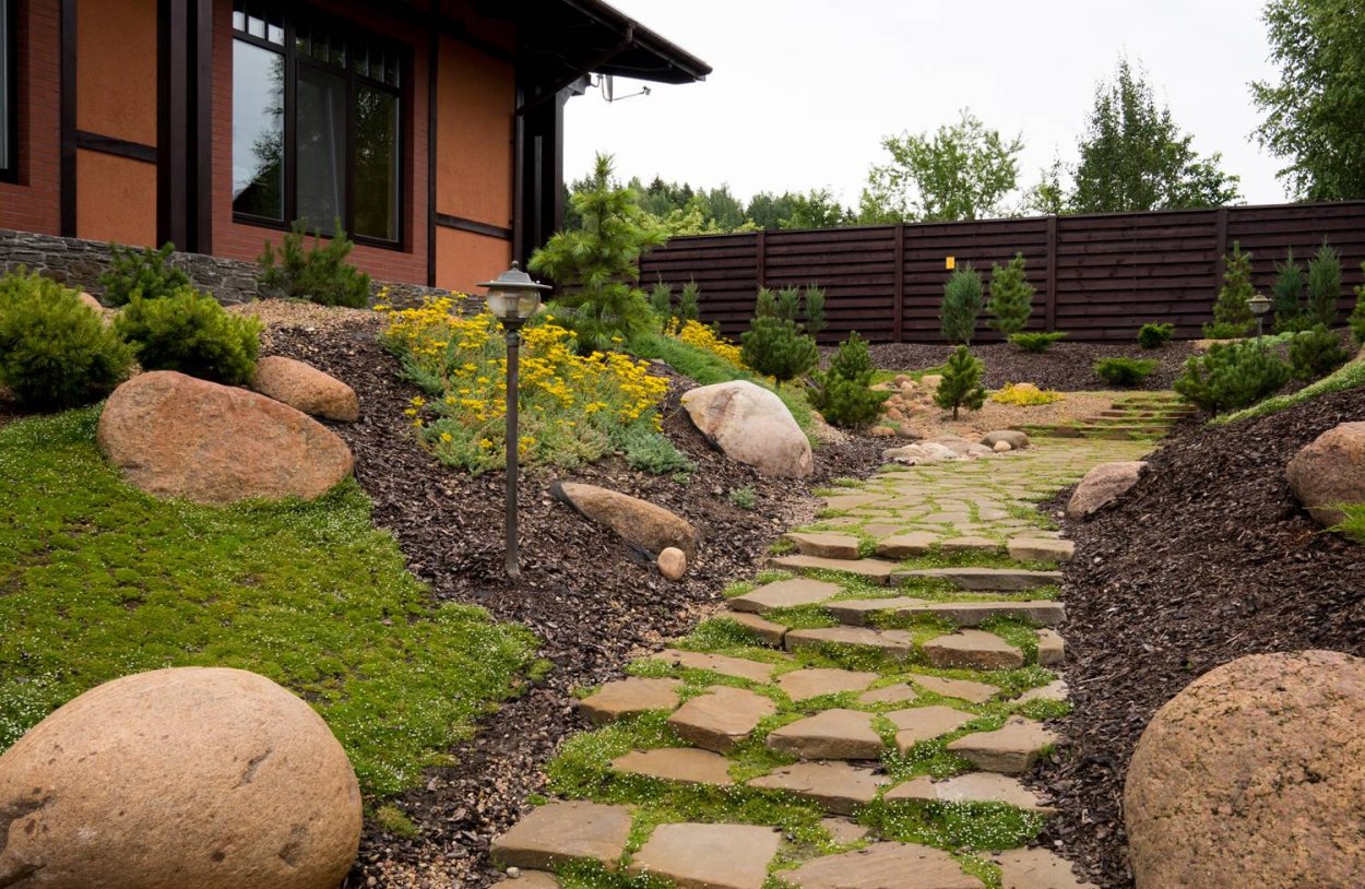 Каменистый сад ЗЛАТОЛИ