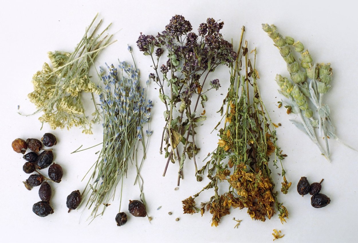 Лекарственные травы