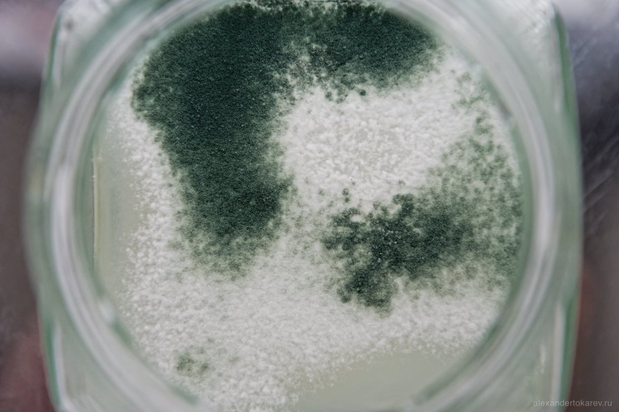 Триходерма штаммы