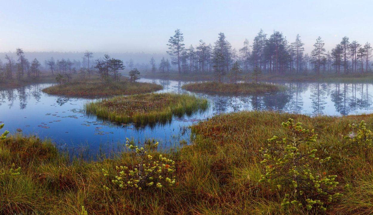 Дарвинский заповедник торфяные острова