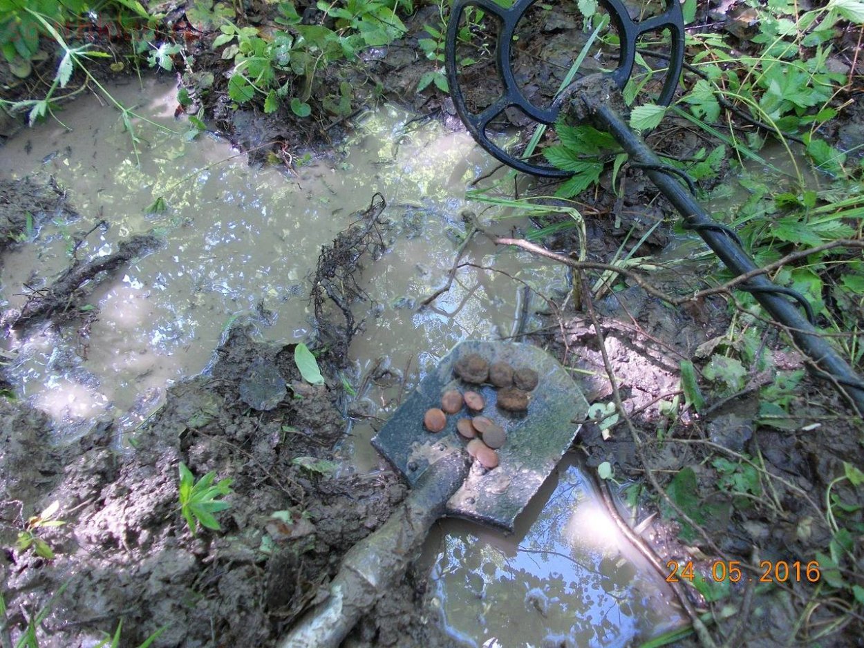 Страшные находки в болоте