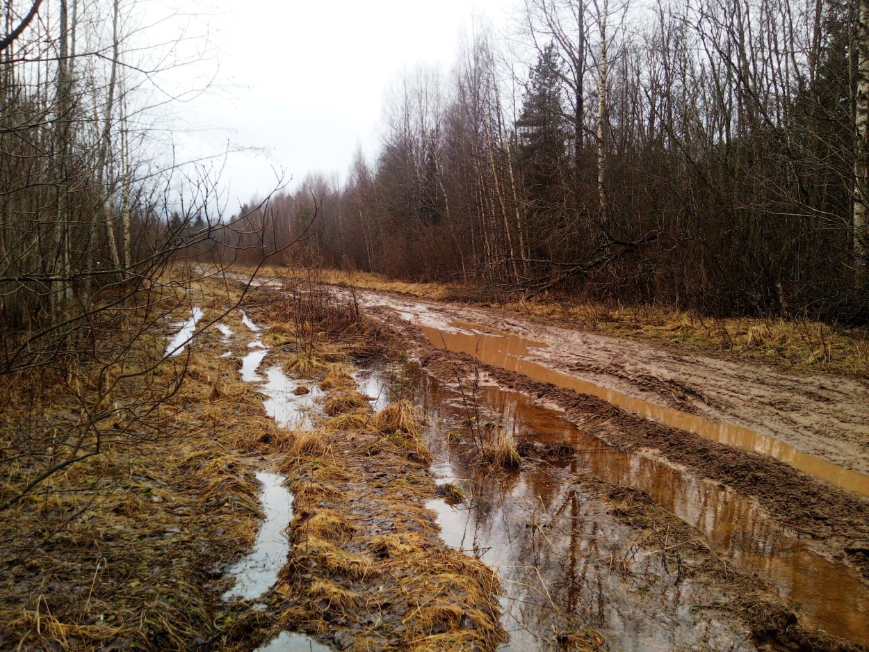Реконьская пустынь состояние дороги