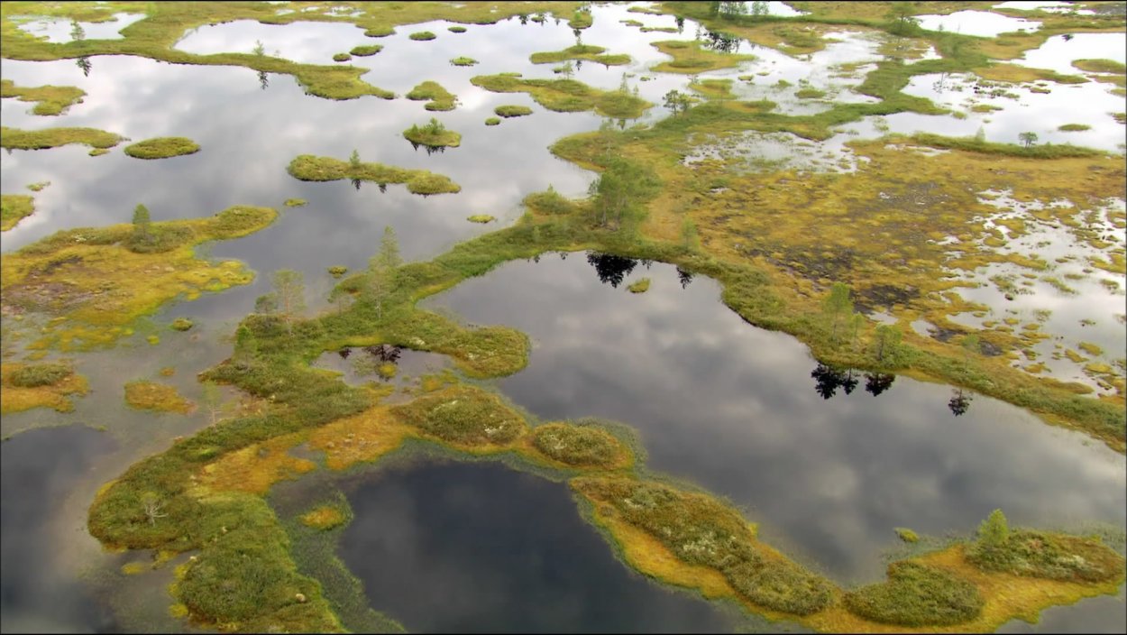Река Лена заболоченность