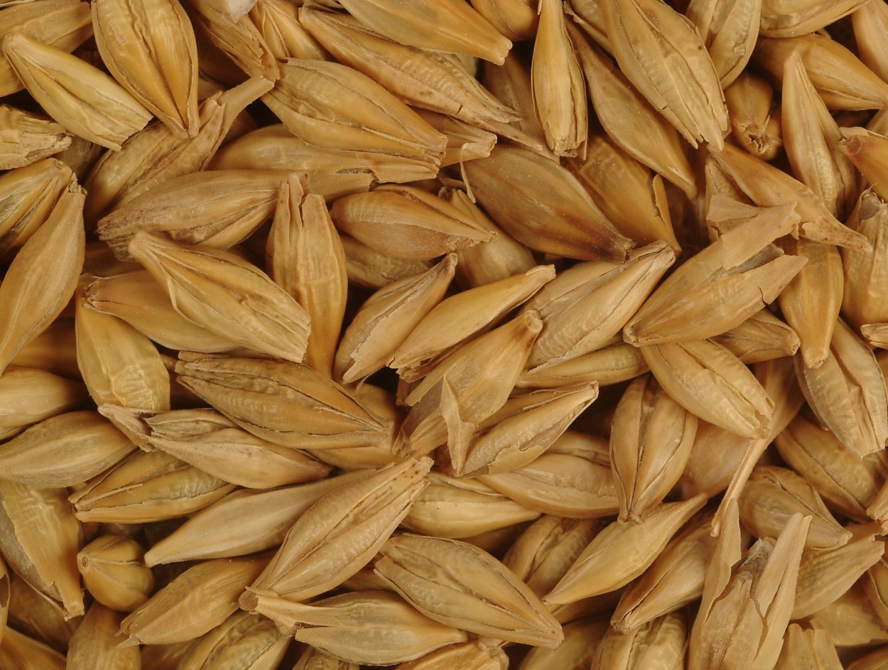 Рис неочищенный семена