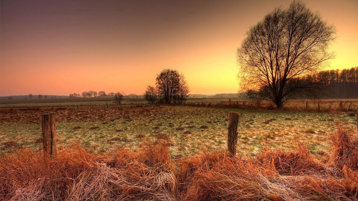 Поле осенью