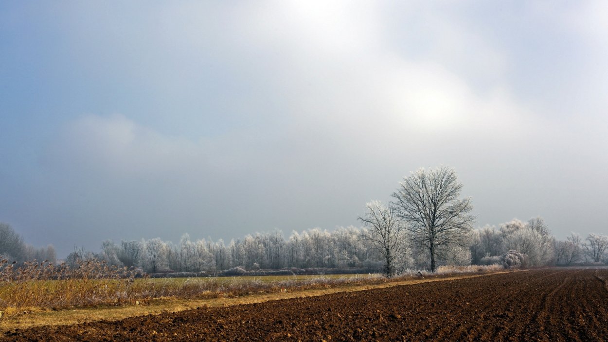 Пашня осенью