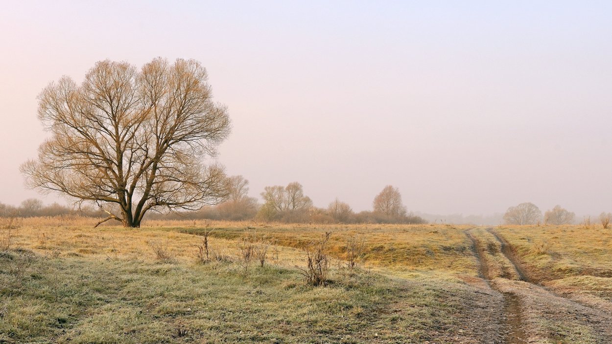 Поле поздней осенью