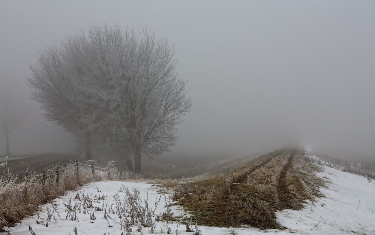 Поздняя осень в поле