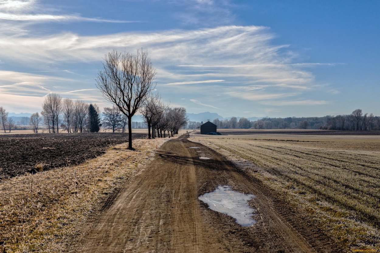 Поле осенью