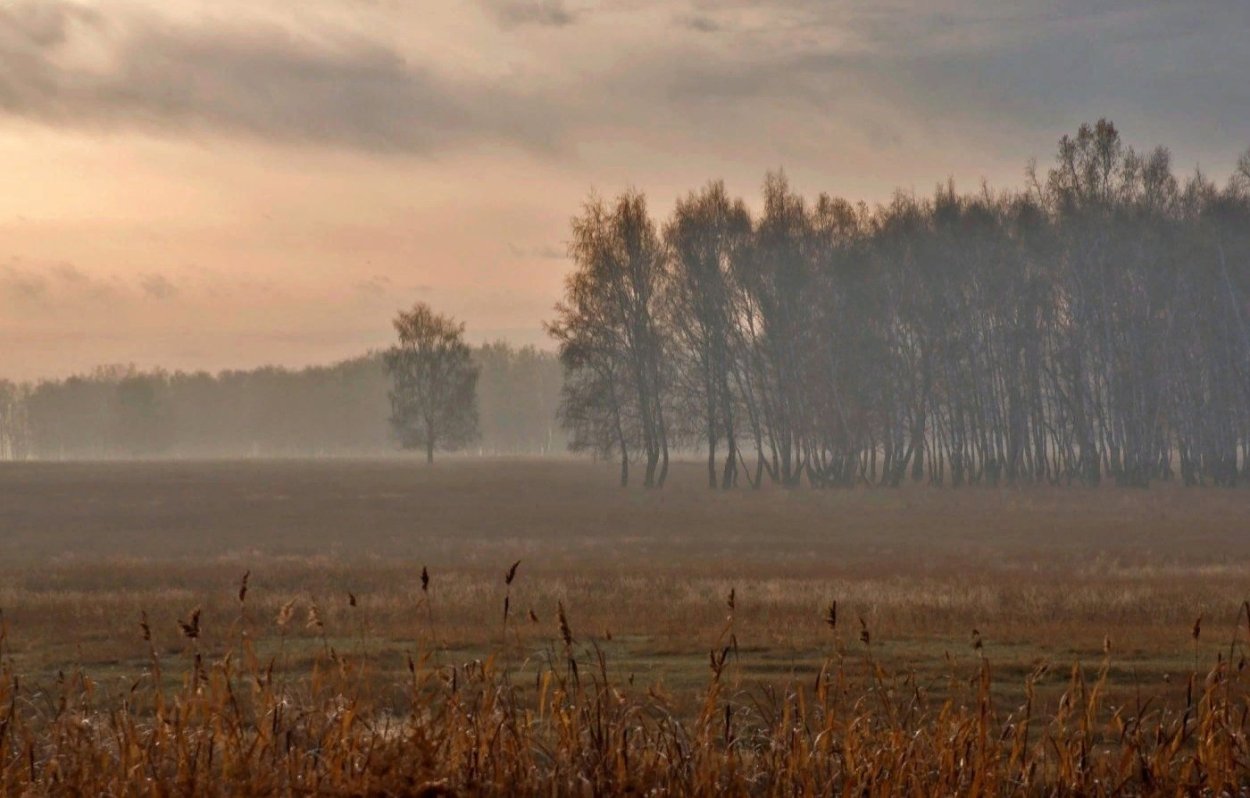 Поле поздней осенью