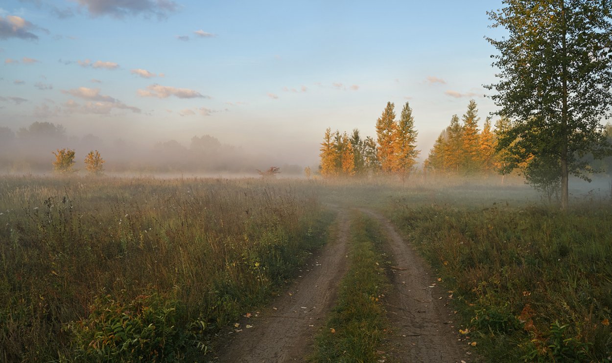 Осень туман рассвет