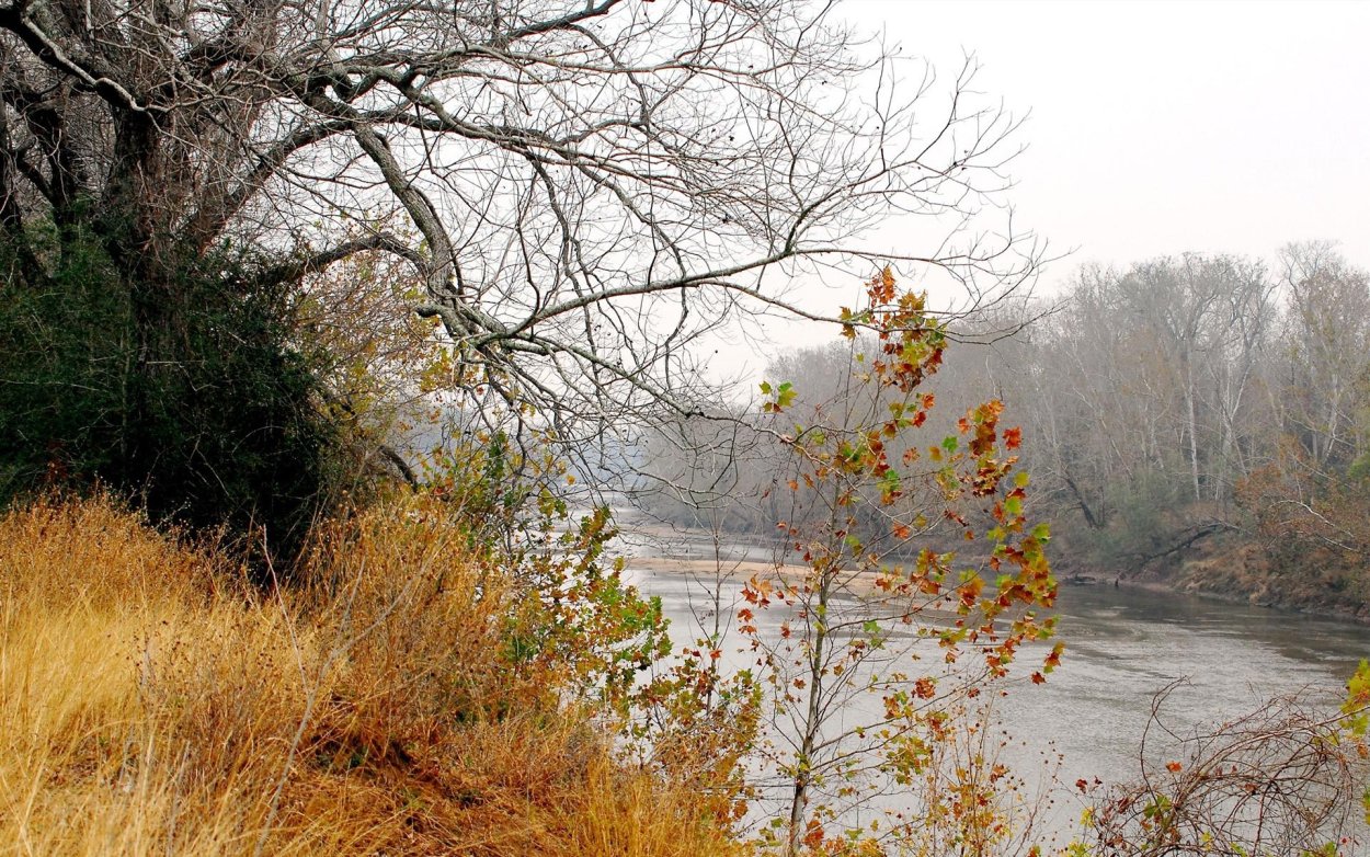 Пасмурный день