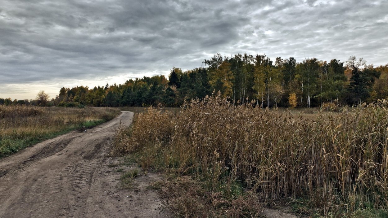 Поздняя осень в деревне