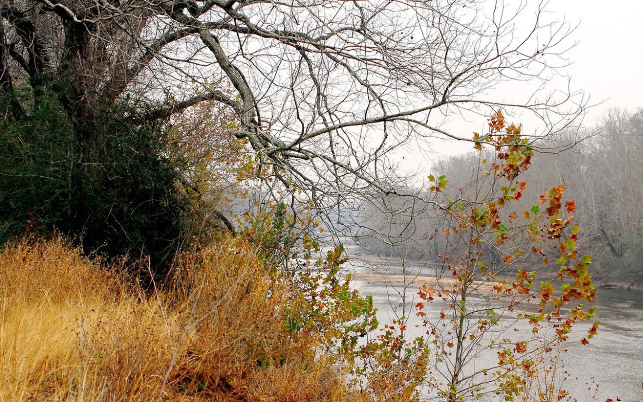 Дождь Карелия поздняя осень