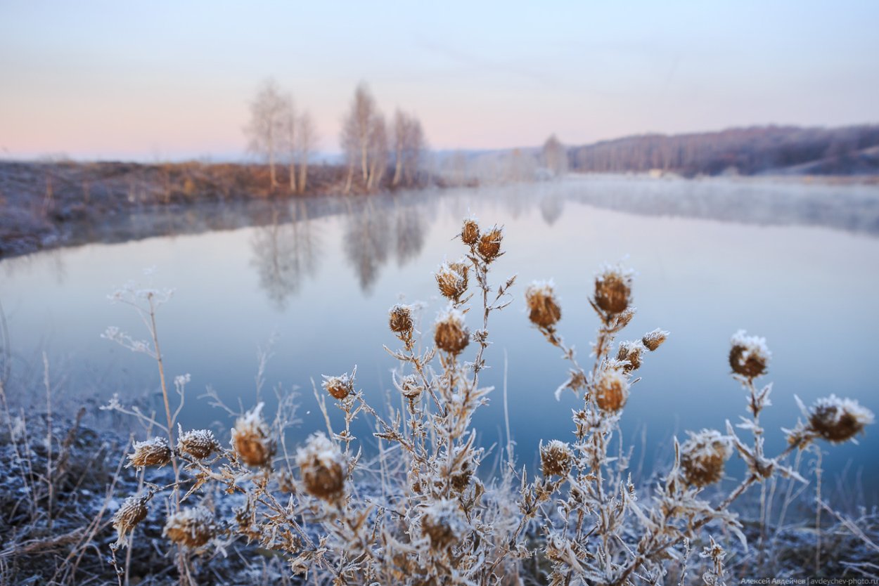 Природа в ноябре Самара