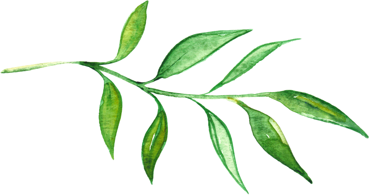 Зеленая веточка