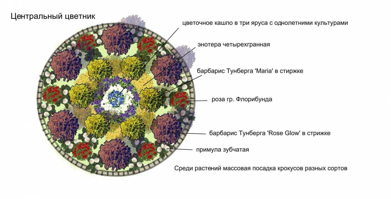 Клумба непрерывного цветения: создаем миксбордер из многолетников, подбор растений, схема посадки