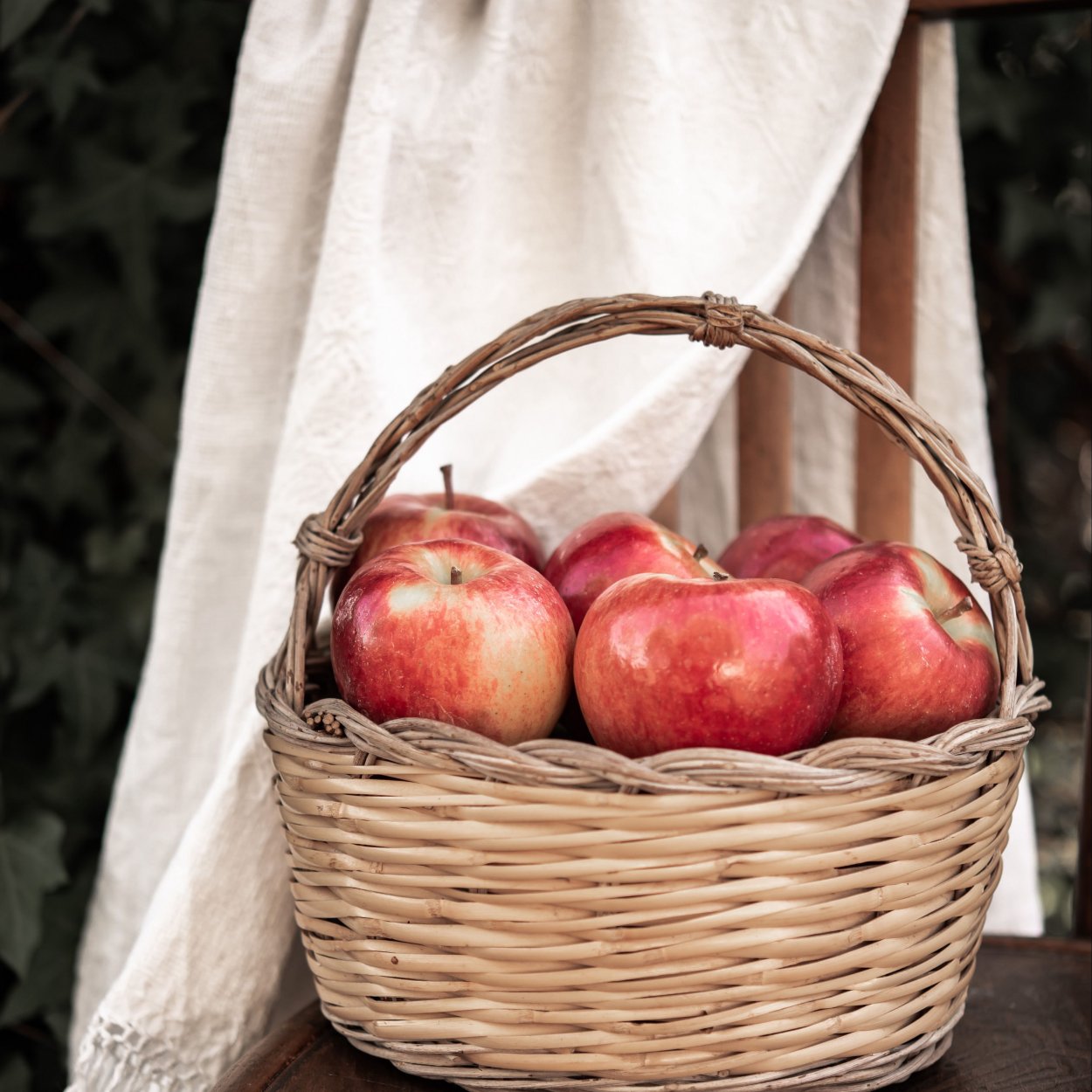 Август яблоки