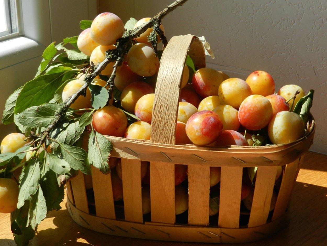 Корзины с яблоками