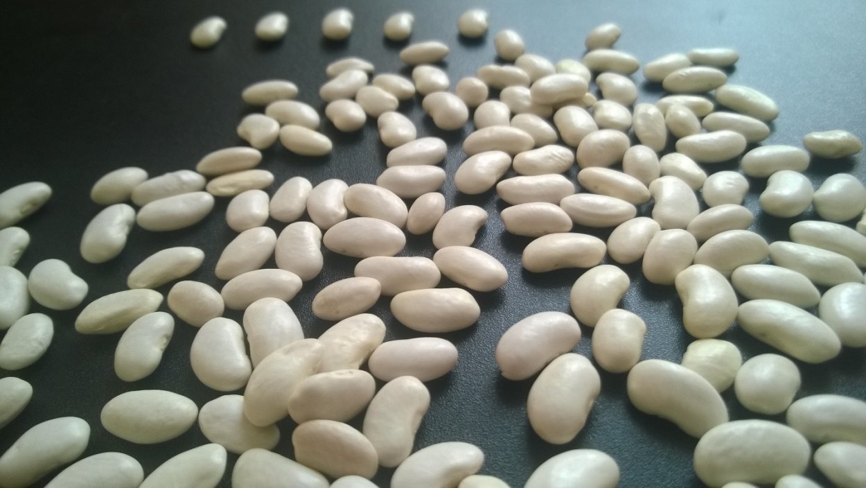 Фасоль белая