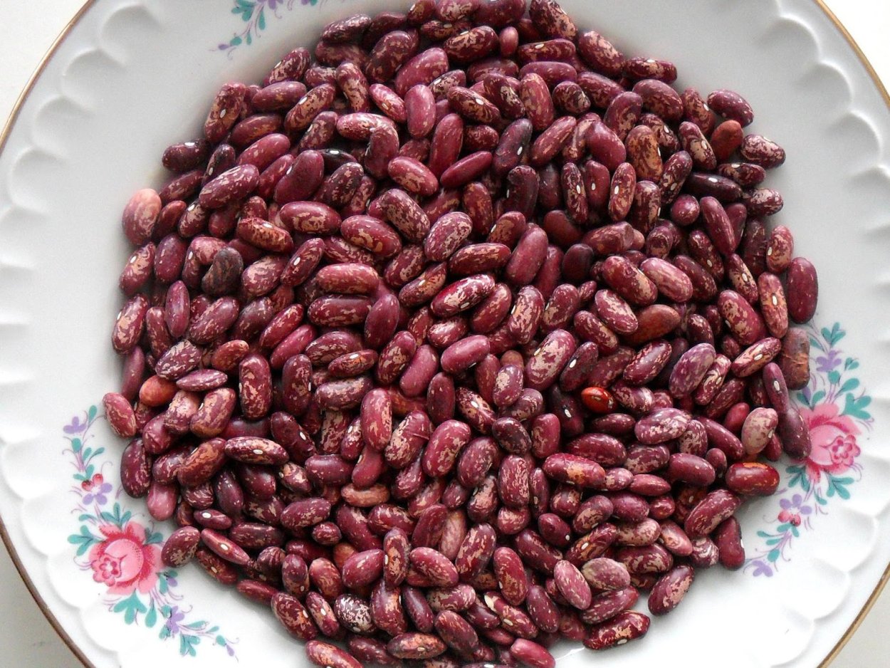 Фасоль Шахиня