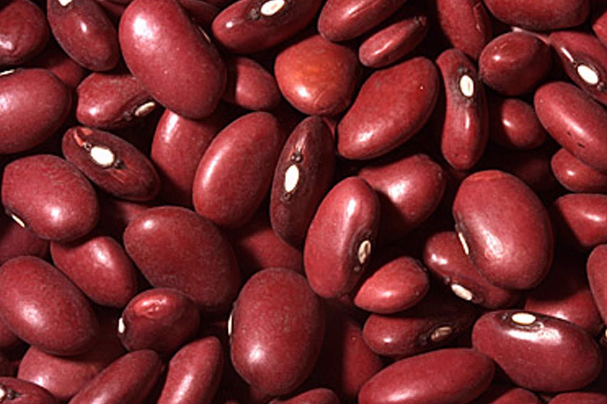Бобы фасоль красная