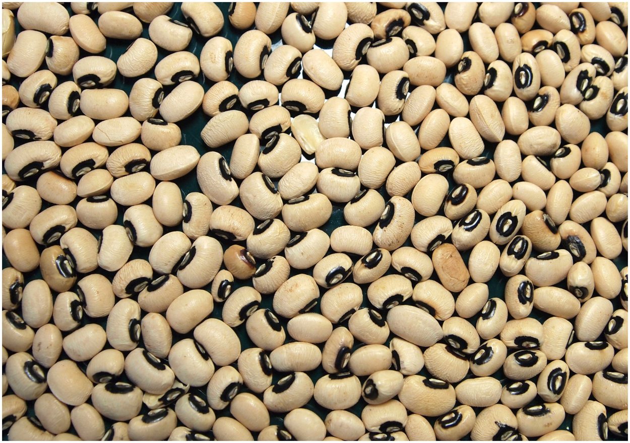 Фасоль Black eyed Peas