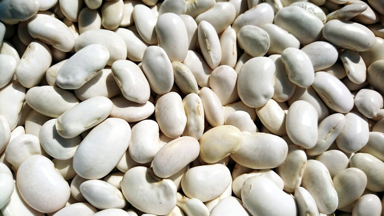 Фасоль Лима