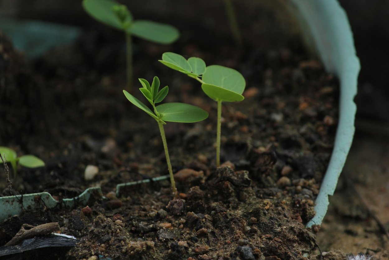 Фото с легкой посадкой