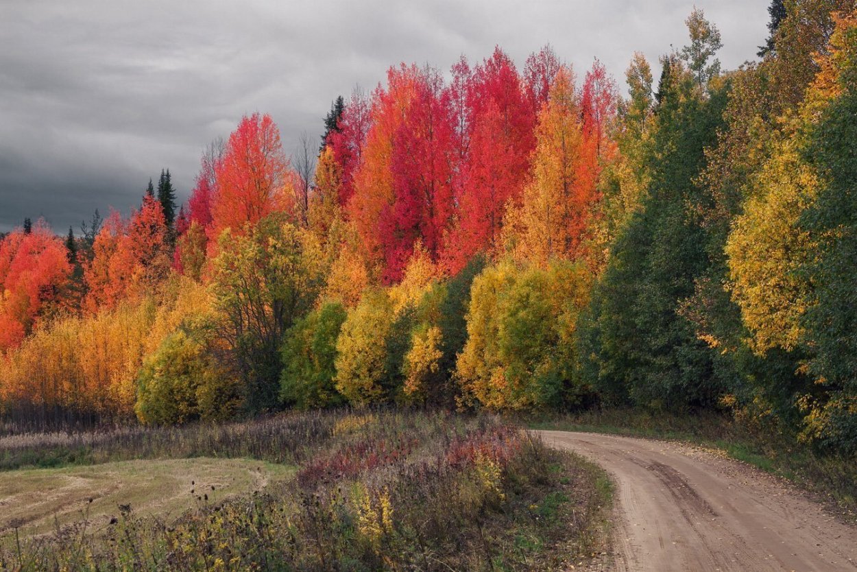 Поздняя разноцветная осень