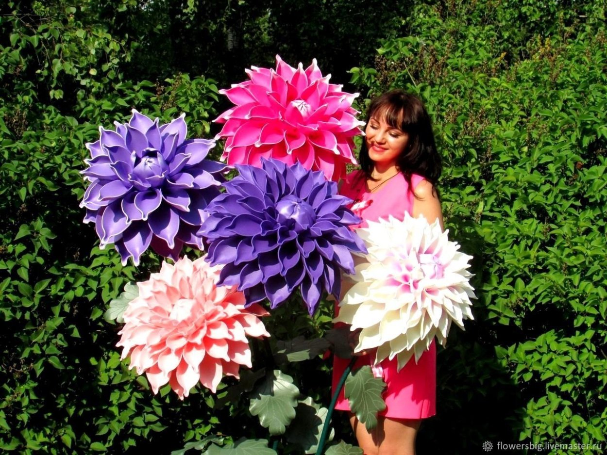 Георгина Алла Пугачева