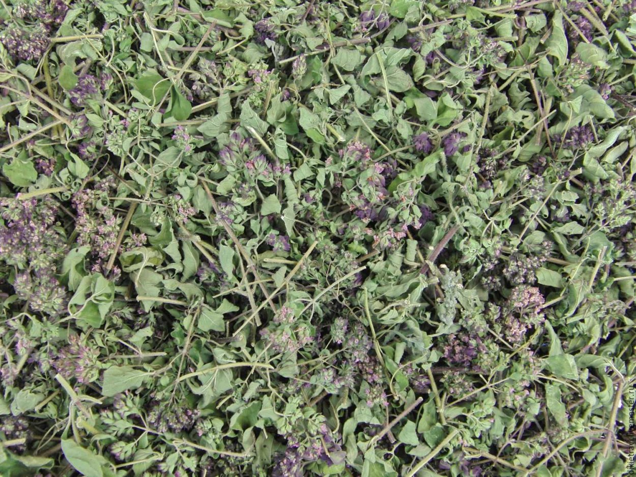 Матрешка Татарская трава