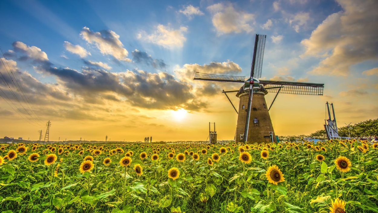 Yarmak Дике поле