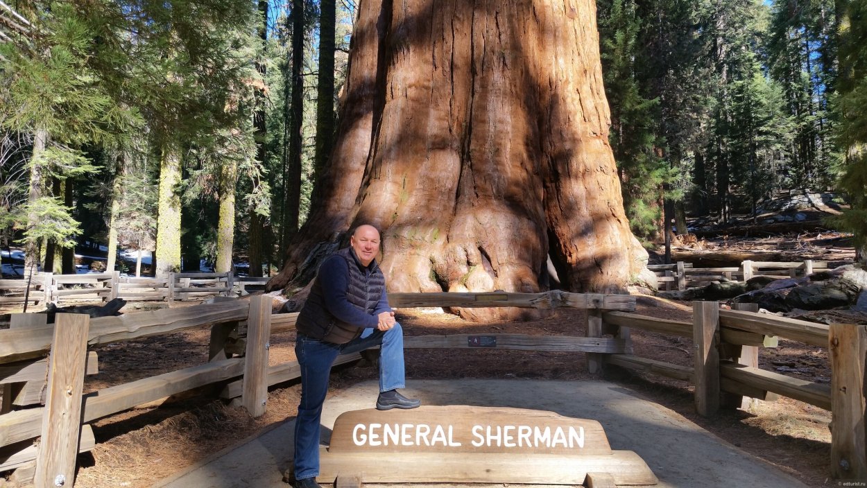 Парк Секвойя США