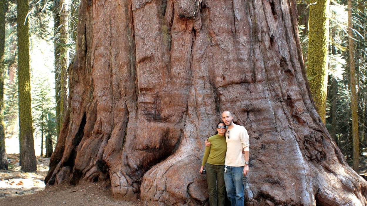 Генерал Грант Секвойя высота