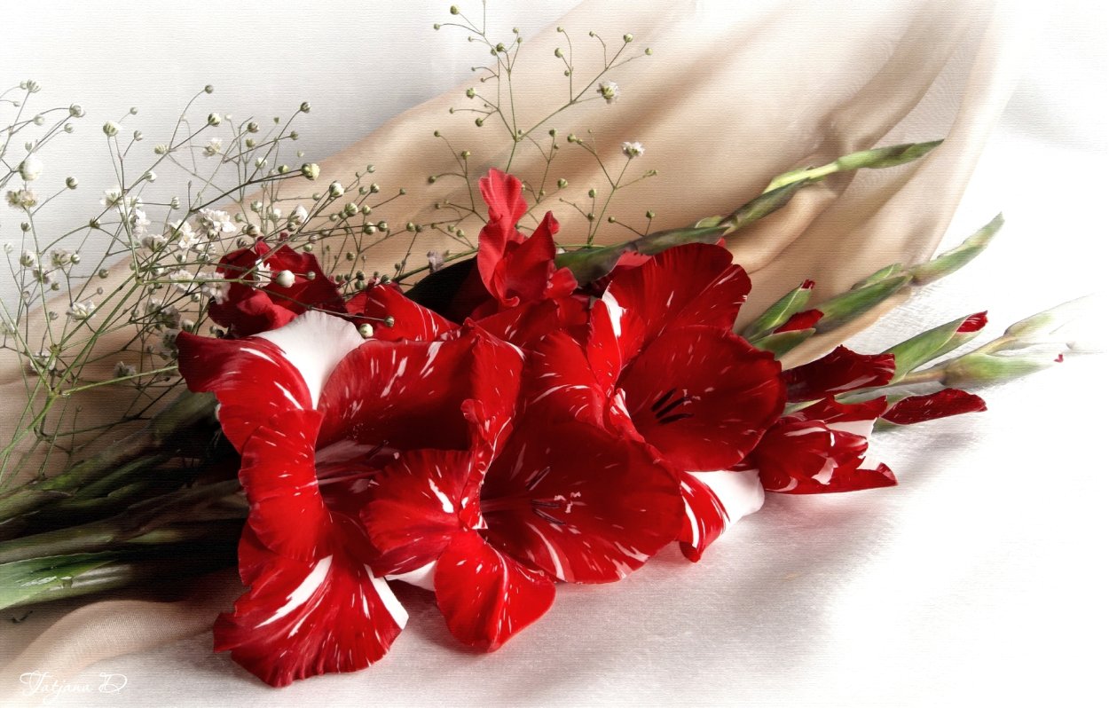 Гладиолусы и гипсофила букет