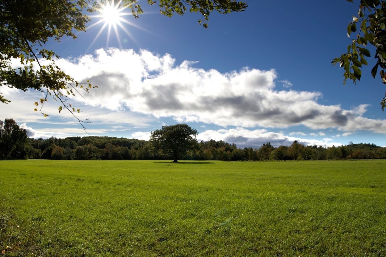 Поляна небо солнце