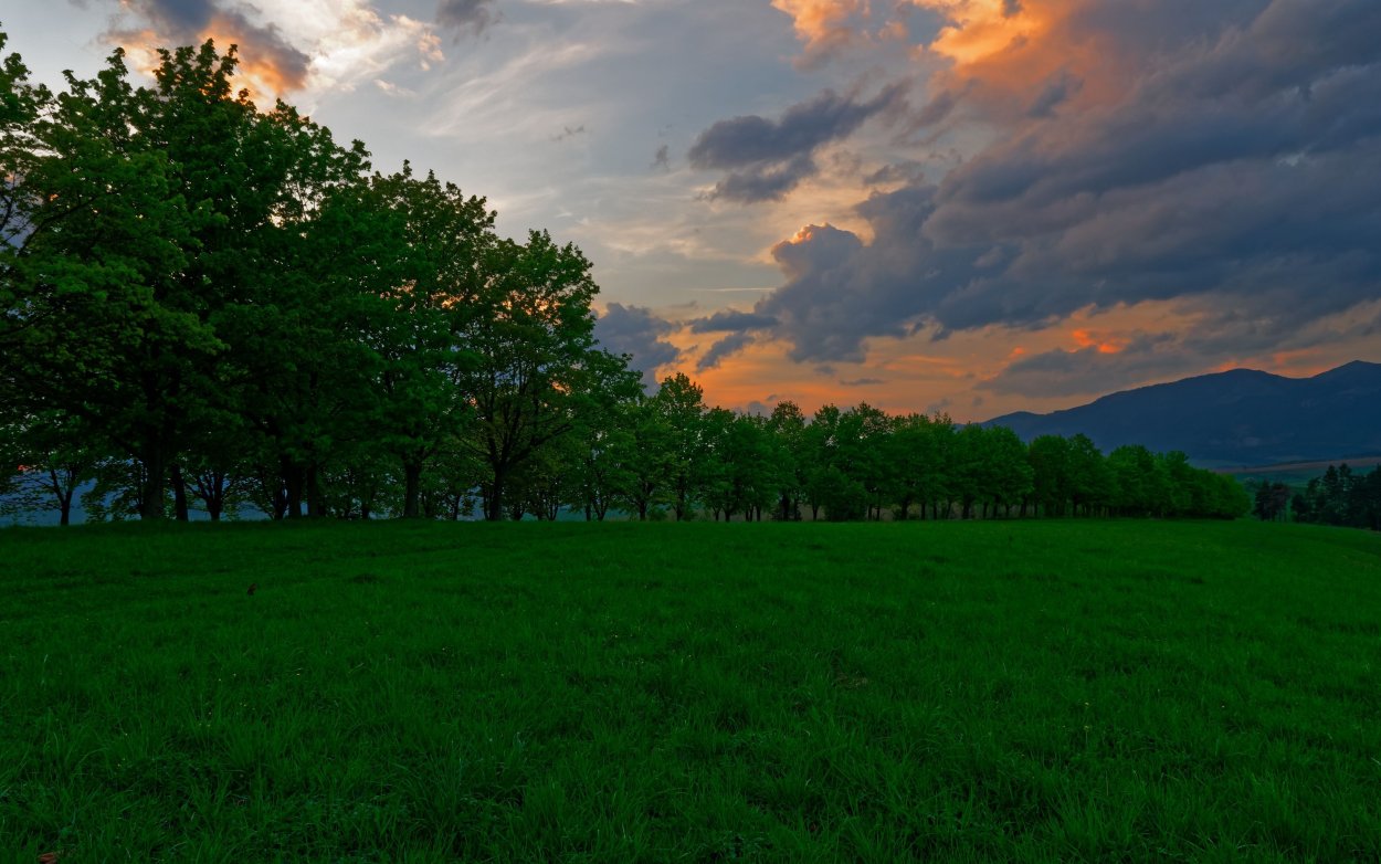 Природа вечер