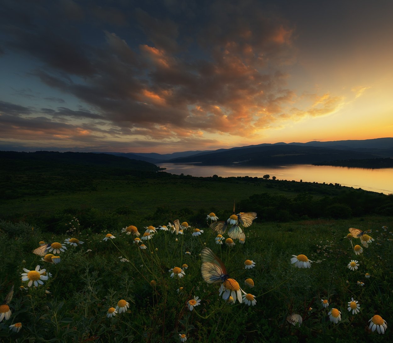 Вечерний луг