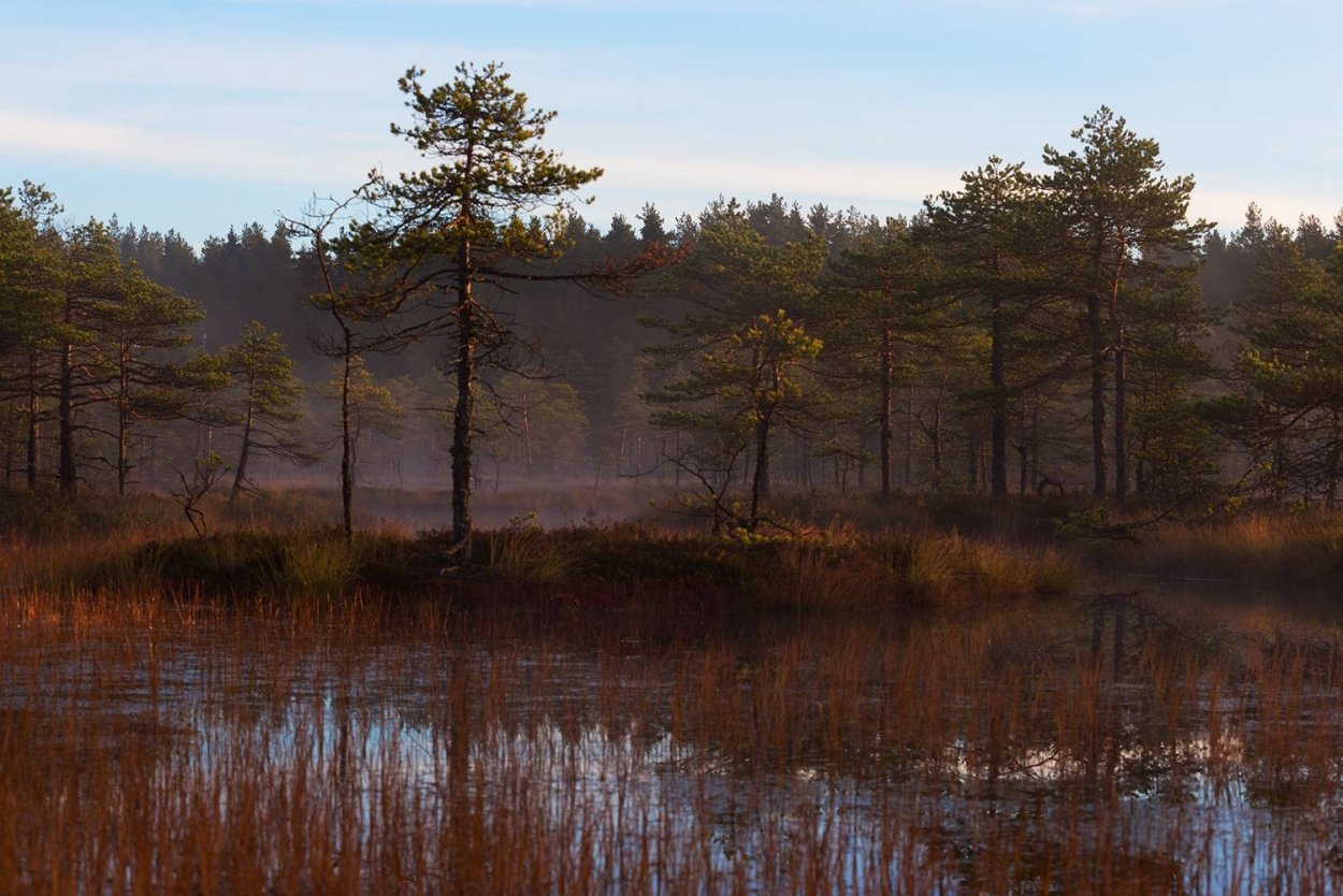 Тюгурюкское болото фото