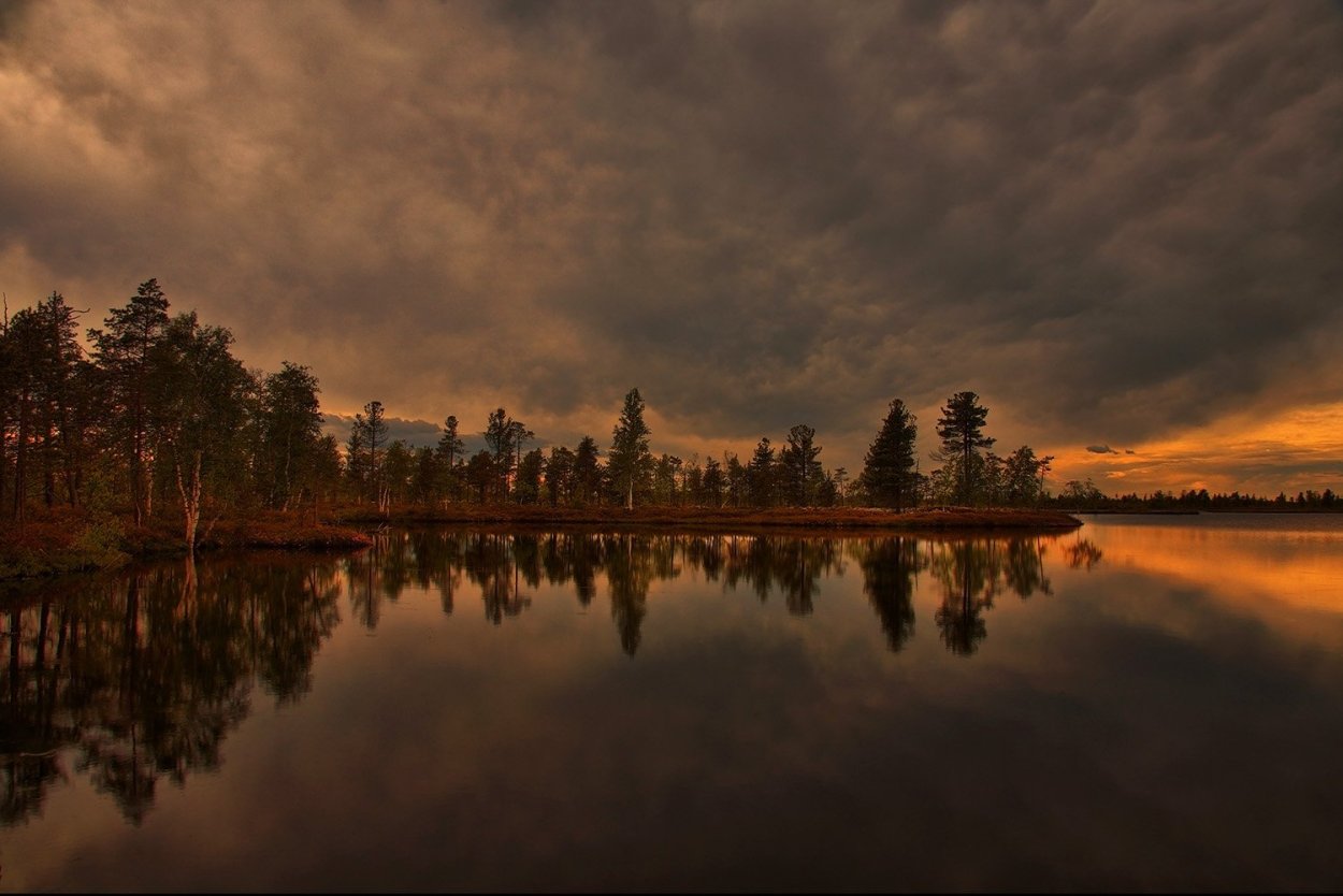 Панорама Васюганское болото