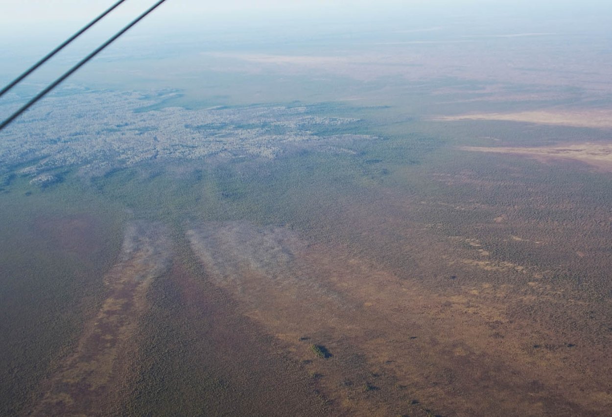 Бакчарское болото