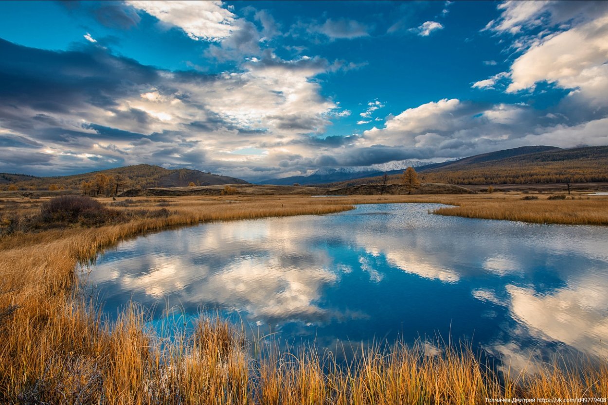 Тюгурюкское болото Алтай