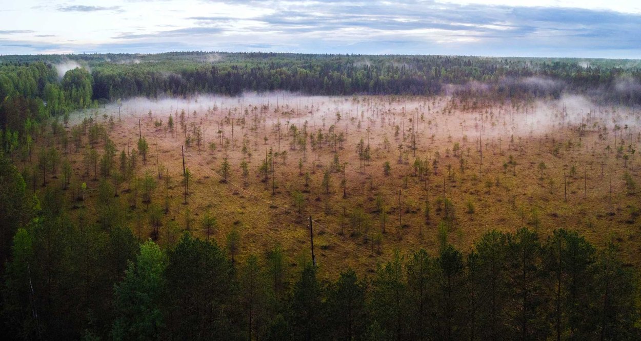 Красавинское болото