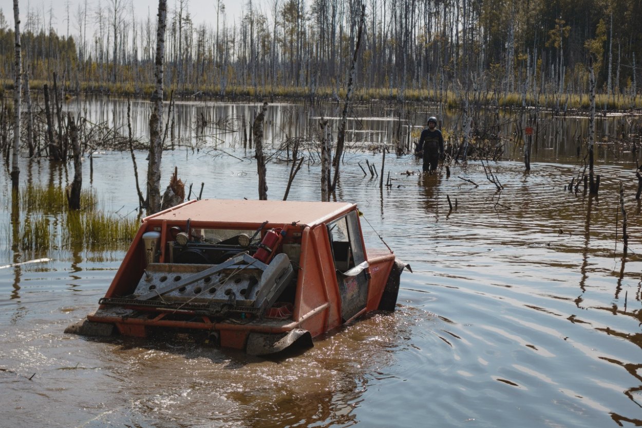 Южский район болота
